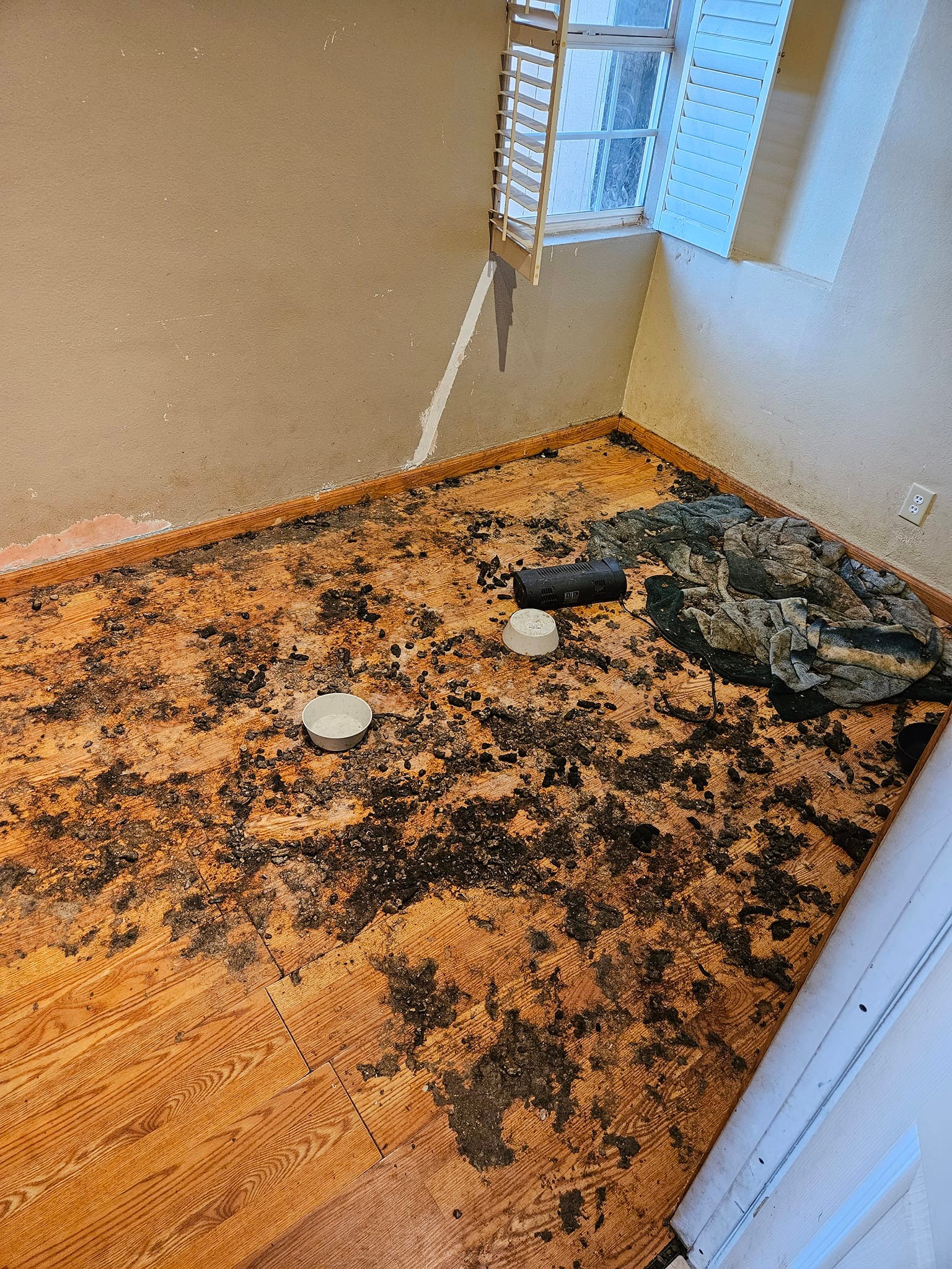 Before restoration - debris and hazardous materials